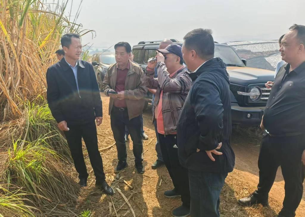 检测甘蔗糖分.jpg 检测甘蔗糖分.jpg